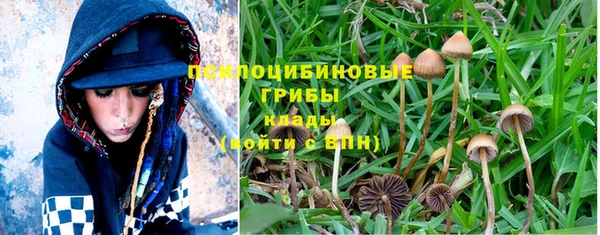 MESCALINE Елизово