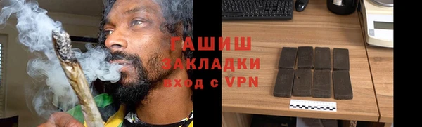 бошки Ельня