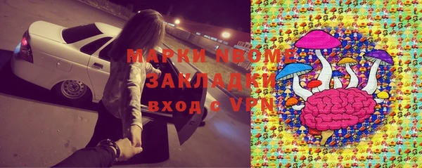 бошки Елабуга