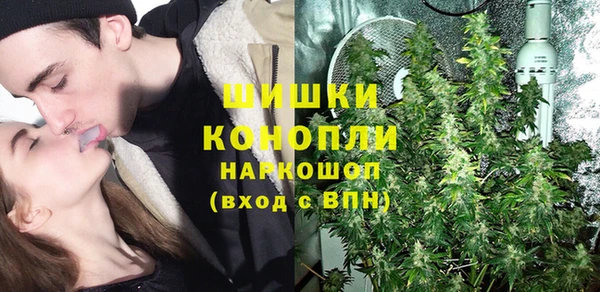 бошки Ельня