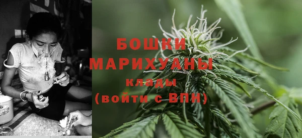 mdpv Дмитров